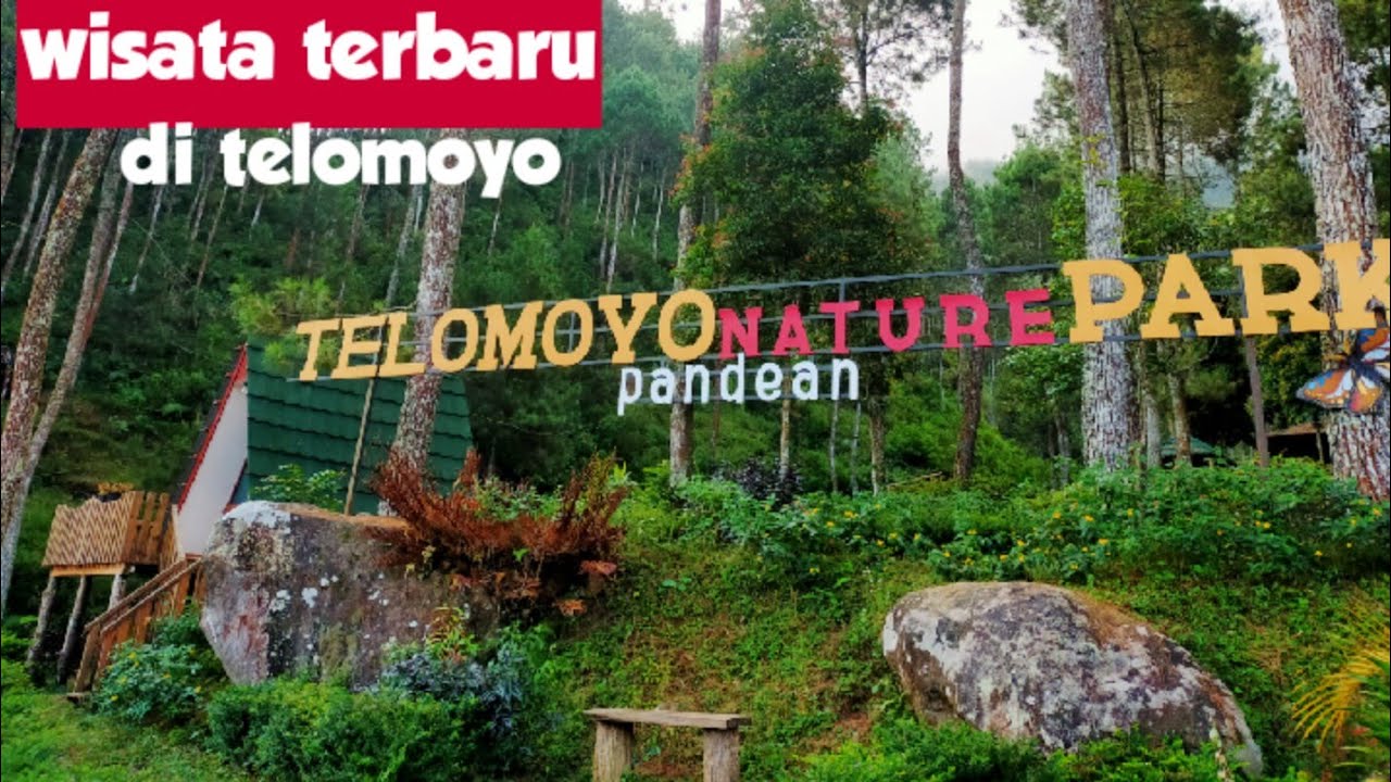 Telomoyo Nature Park: Menjelajahi Keindahan Alam dan Aktivitas Seru di Lereng Merapi